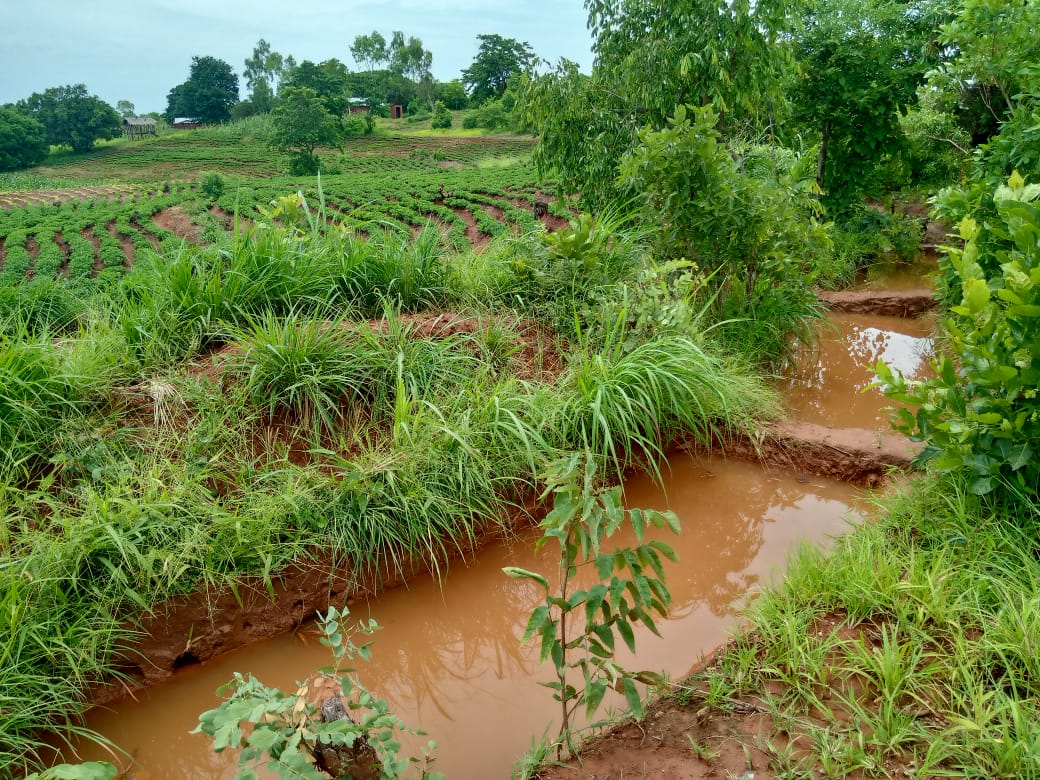 Communities in Karonga reap benefits of climate-smart programme